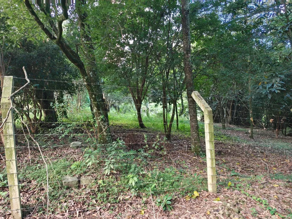 Terreno, 5 m² - Foto 6
