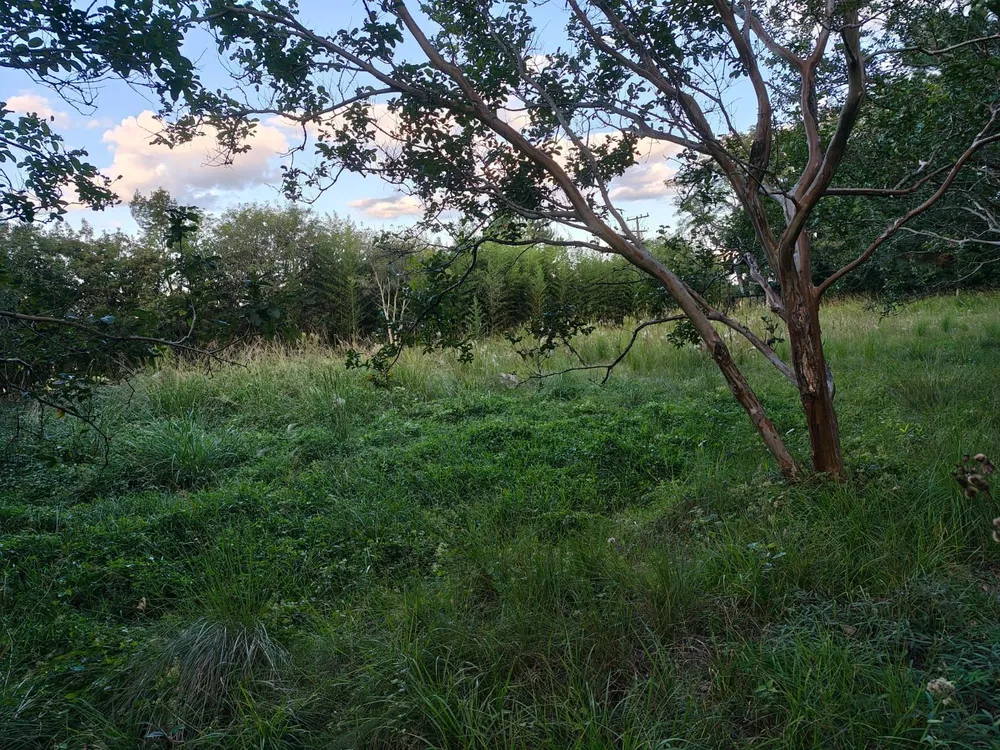 Terreno, 5 m² - Foto 1