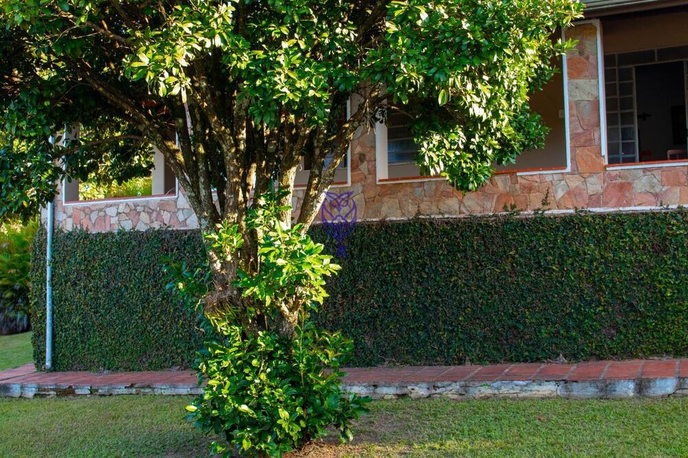 Chácara à venda com 3 quartos, 1500m² - Foto 4
