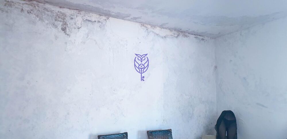 Casa, 3 quartos - Foto 23