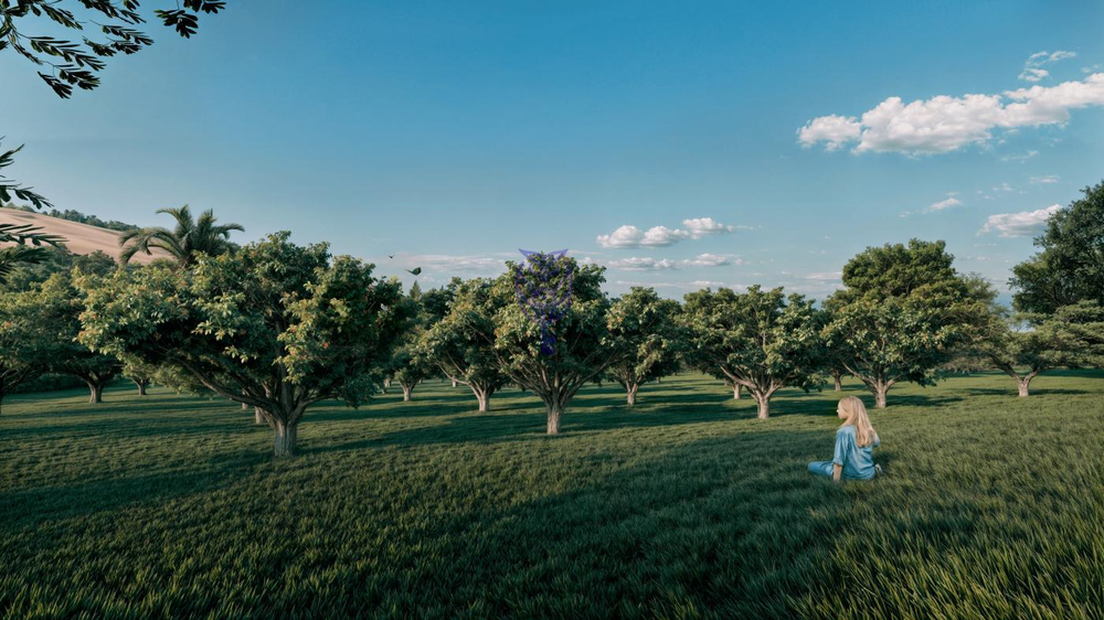 Terreno, 180 m² - Foto 3