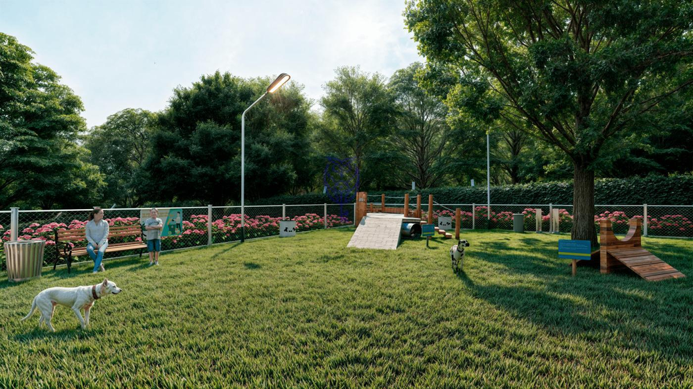 Terreno, 180 m² - Foto 8