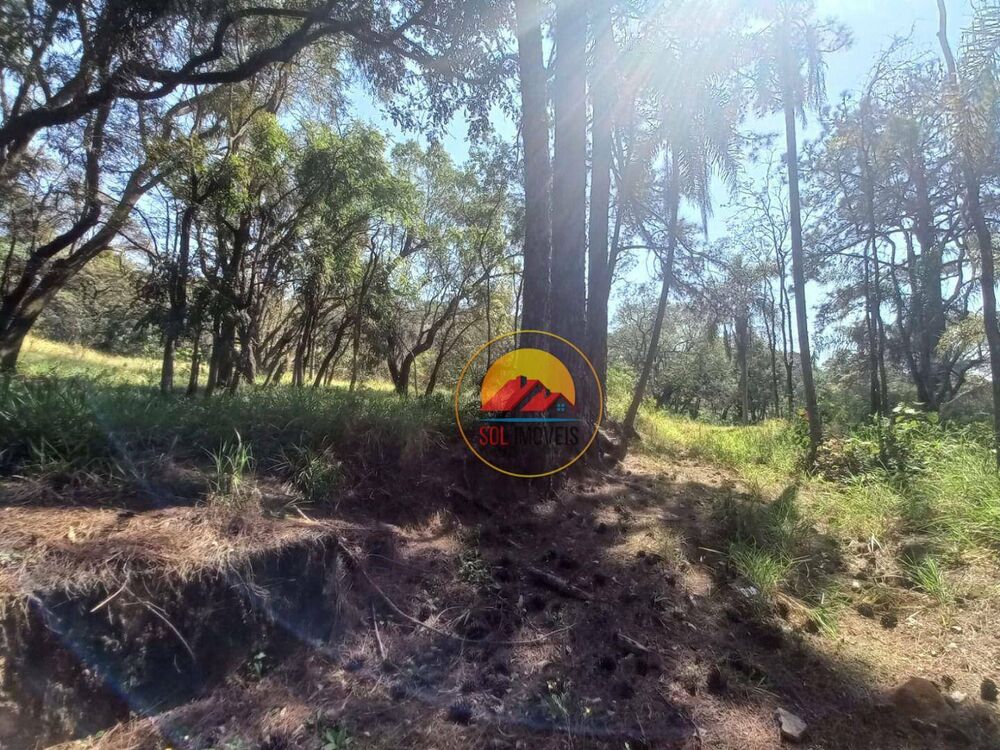 Terreno, 585640 hectares - Foto 13