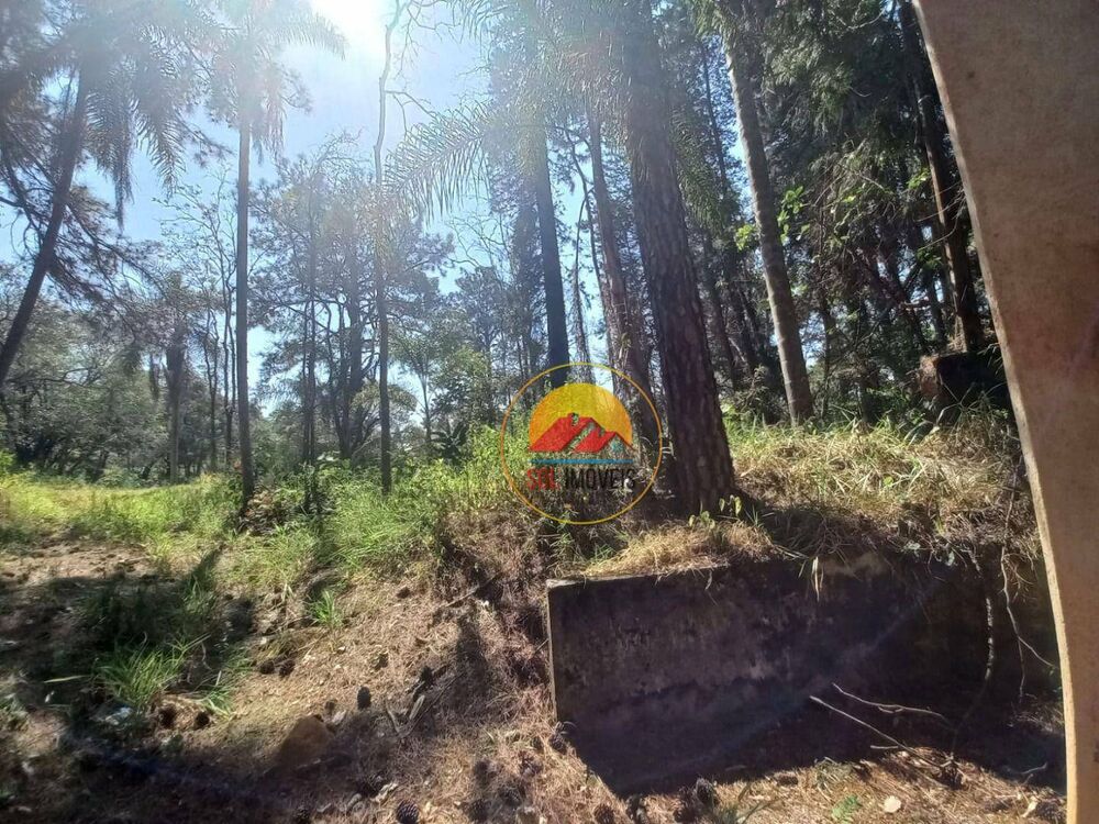 Terreno, 585640 hectares - Foto 12