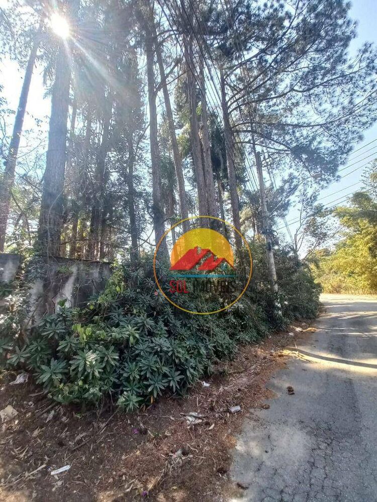 Terreno, 585640 hectares - Foto 3