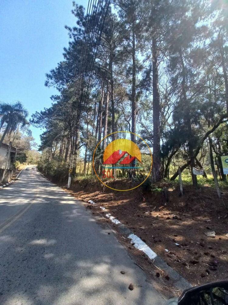 Terreno, 585640 hectares - Foto 4