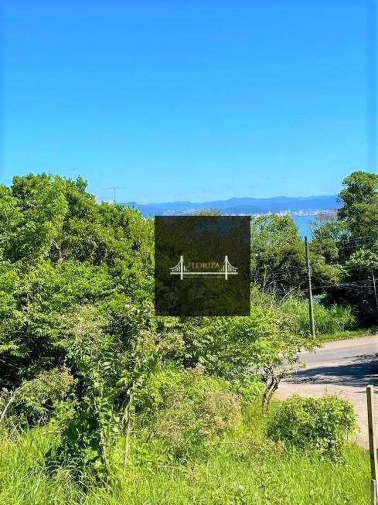 Terreno, 1494 m² - Foto 12