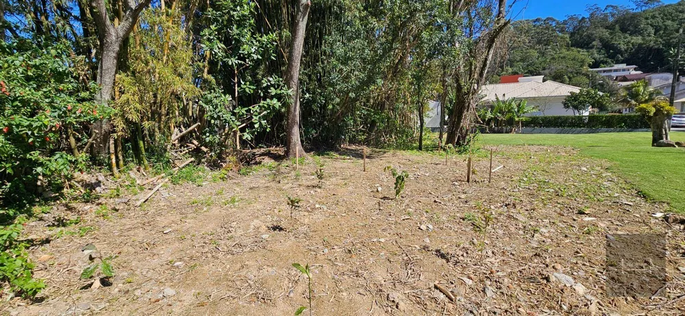 Loteamento e Condomínio, 1435 m² - Foto 4