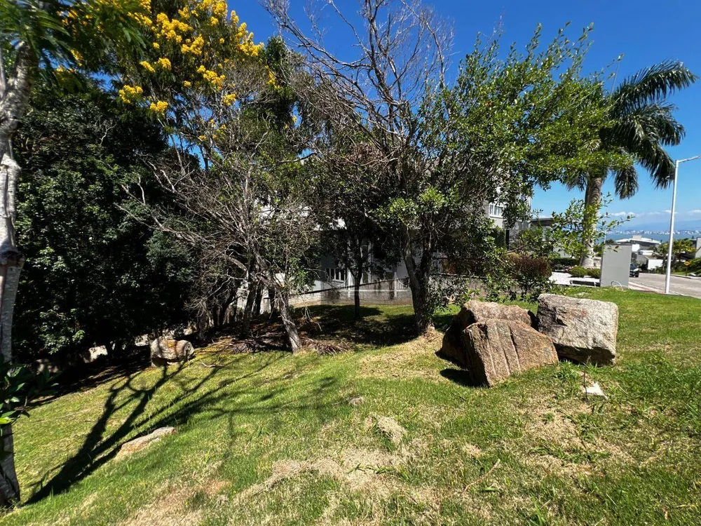 Loteamento e Condomínio, 812 m² - Foto 3