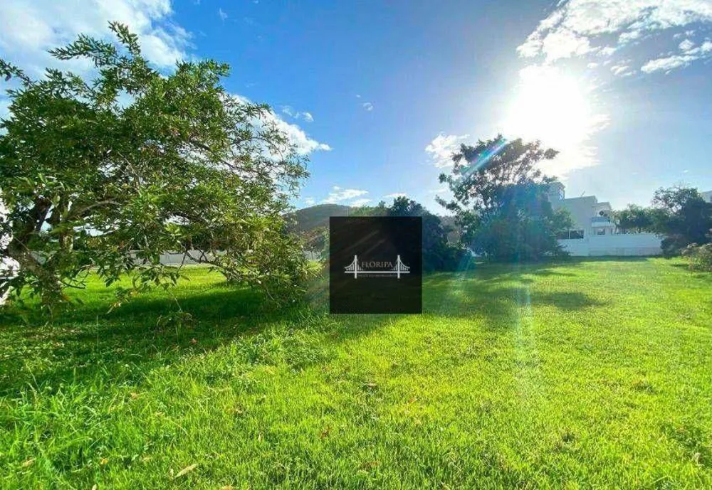 Loteamento e Condomínio, 1000 m² - Foto 6