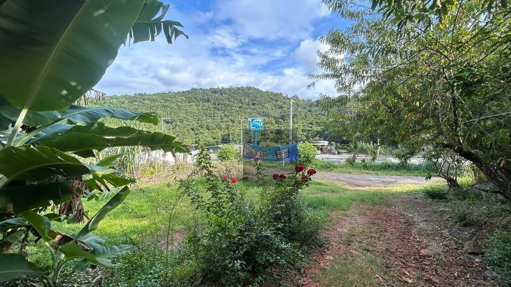 Terreno, 565 m² - Foto 6