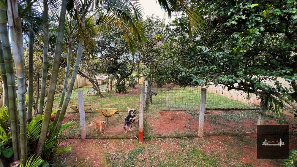 Casa, 4 quartos, 325 m² - Foto 15