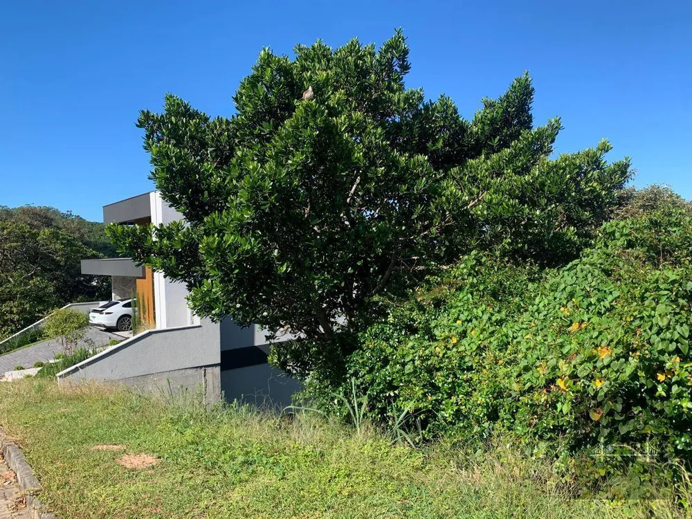 Loteamento e Condomínio, 508 m² - Foto 3