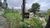 Terreno, 5 hectares - Foto 4