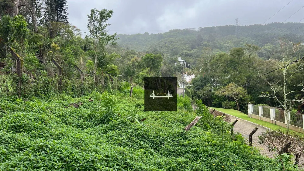 Terreno, 5 hectares - Foto 4