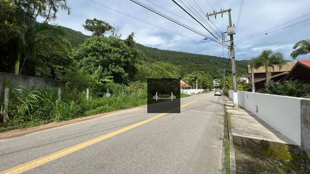 Terreno, 10 hectares - Foto 12