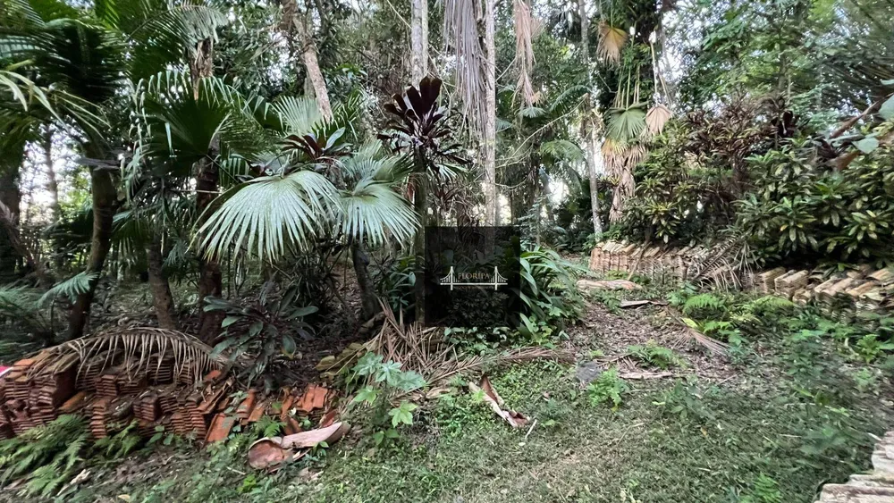 Terreno, 2 hectares - Foto 6
