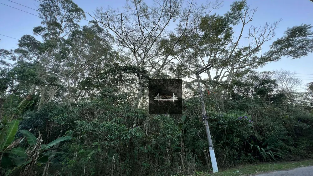 Terreno, 2 hectares - Foto 10