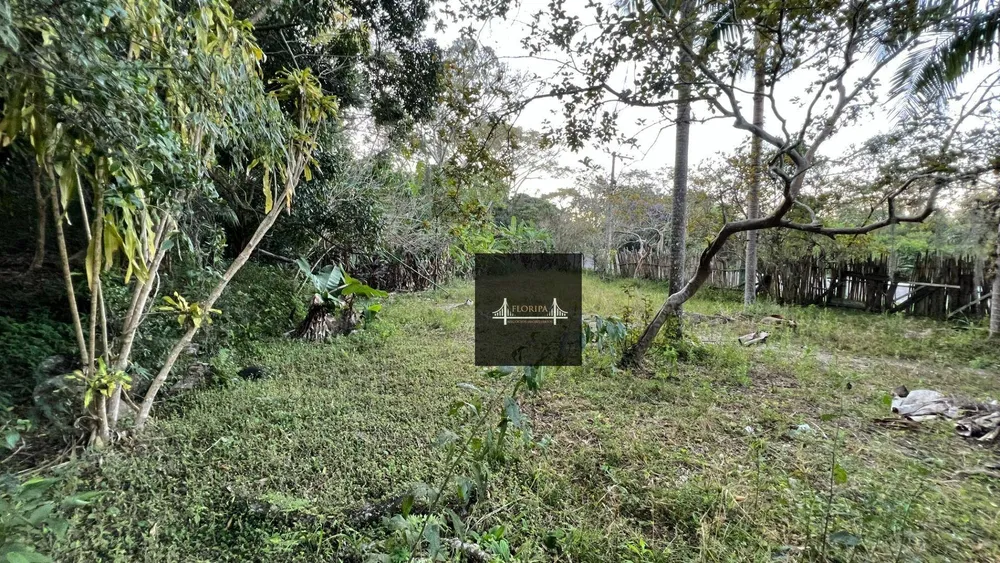 Terreno, 2 hectares - Foto 4