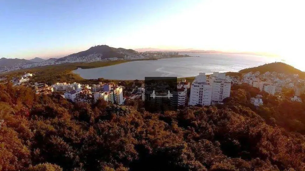 Casa, 8 quartos, 1200 m² - Foto 12