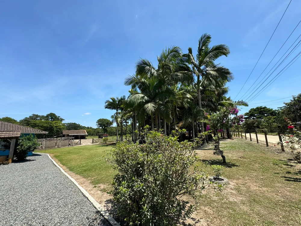 Sítio, 3 quartos - Foto 4