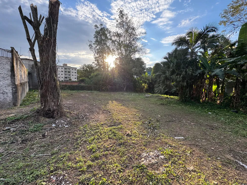 Terreno, 1577 m² - Foto 13