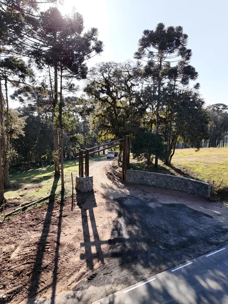 Chácara, 3 hectares - Foto 1