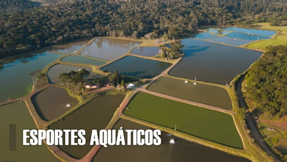 Fazenda, 5 quartos - Foto 7