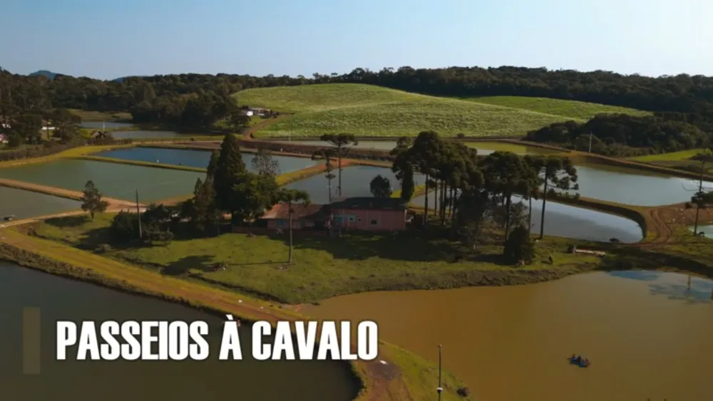 Fazenda, 5 quartos - Foto 4