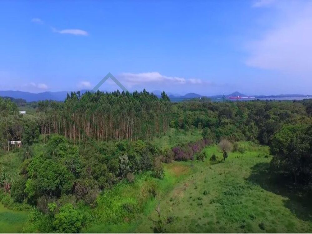 Terreno, 8 hectares - Foto 4