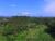 Terreno, 8 hectares - Foto 4