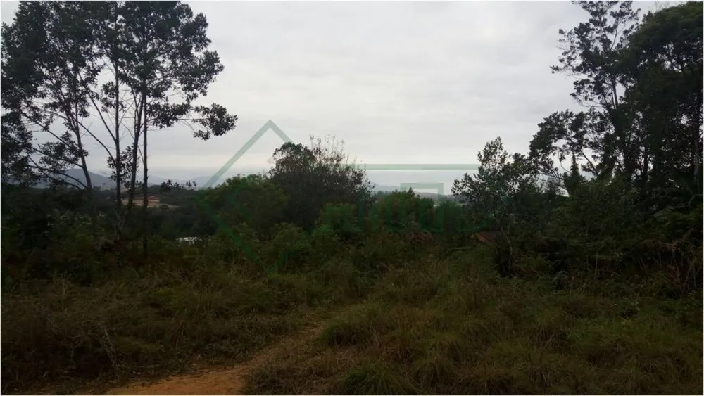 Terreno, 5000 m² - Foto 6