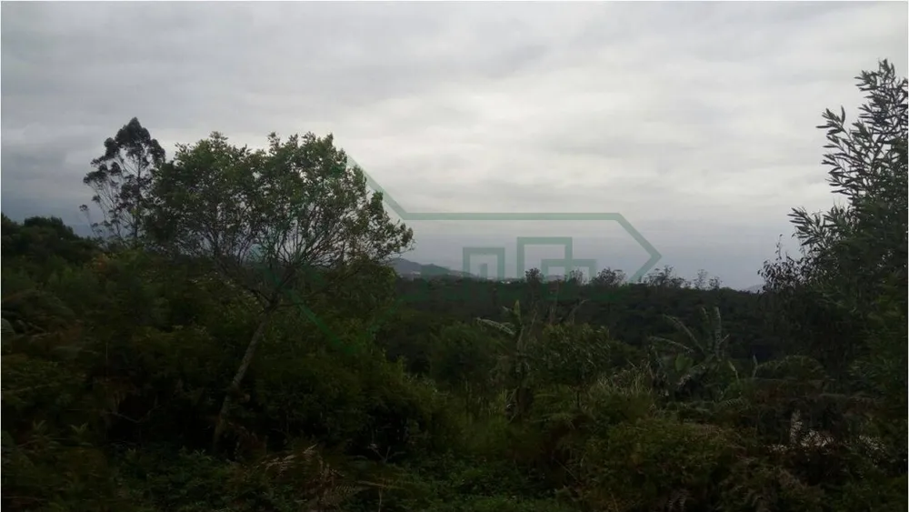 Terreno, 5000 m² - Foto 4