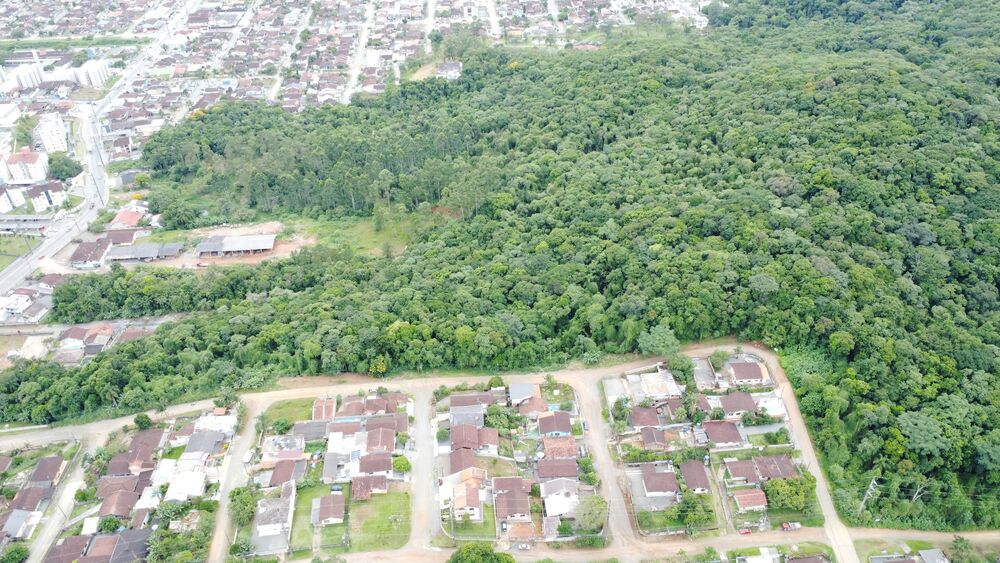 Terreno, 2 hectares - Foto 4