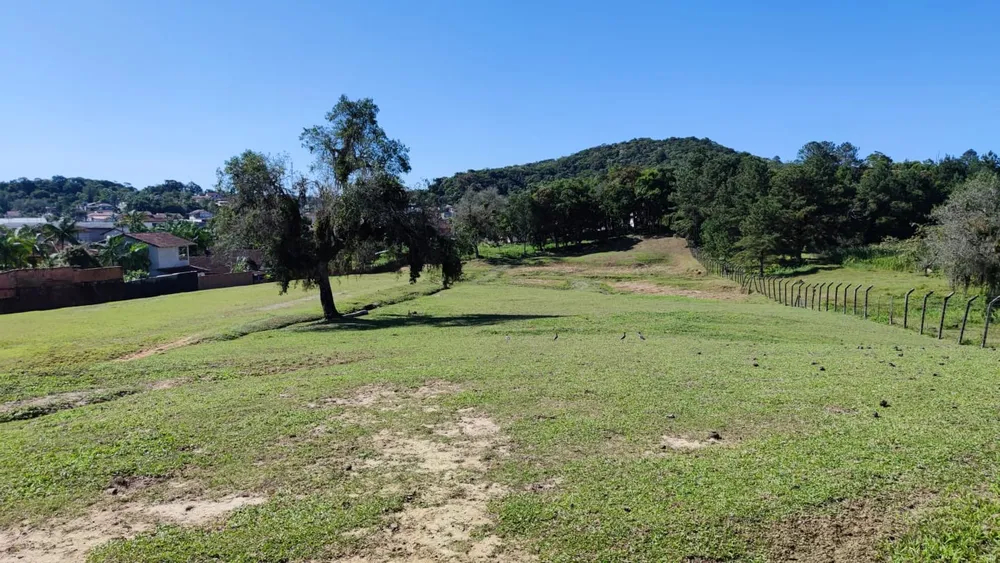 Terreno - Foto 4