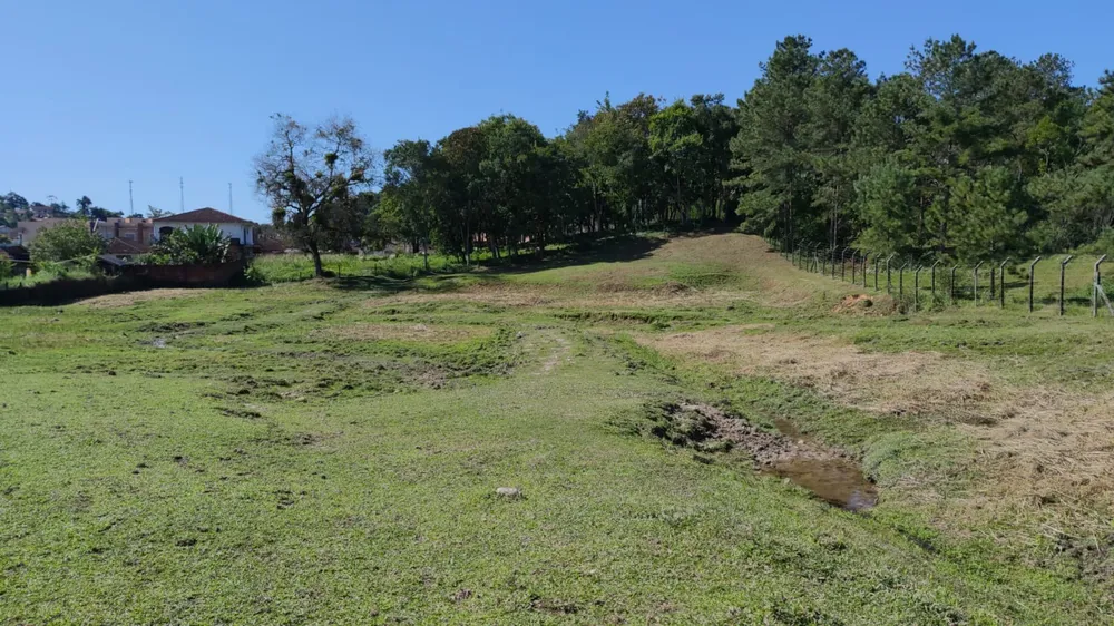 Terreno - Foto 3