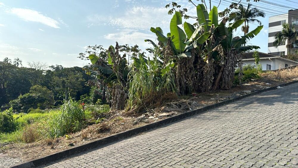 Terreno, 635 m² - Foto 3