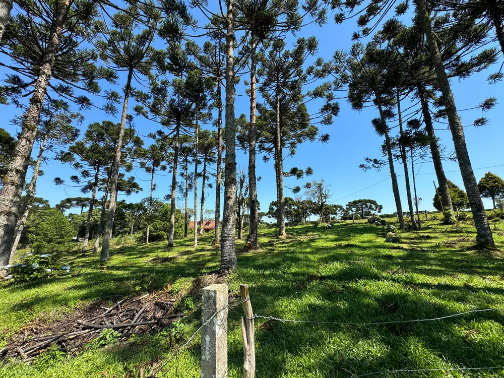 Terreno, 2200 m² - Foto 6