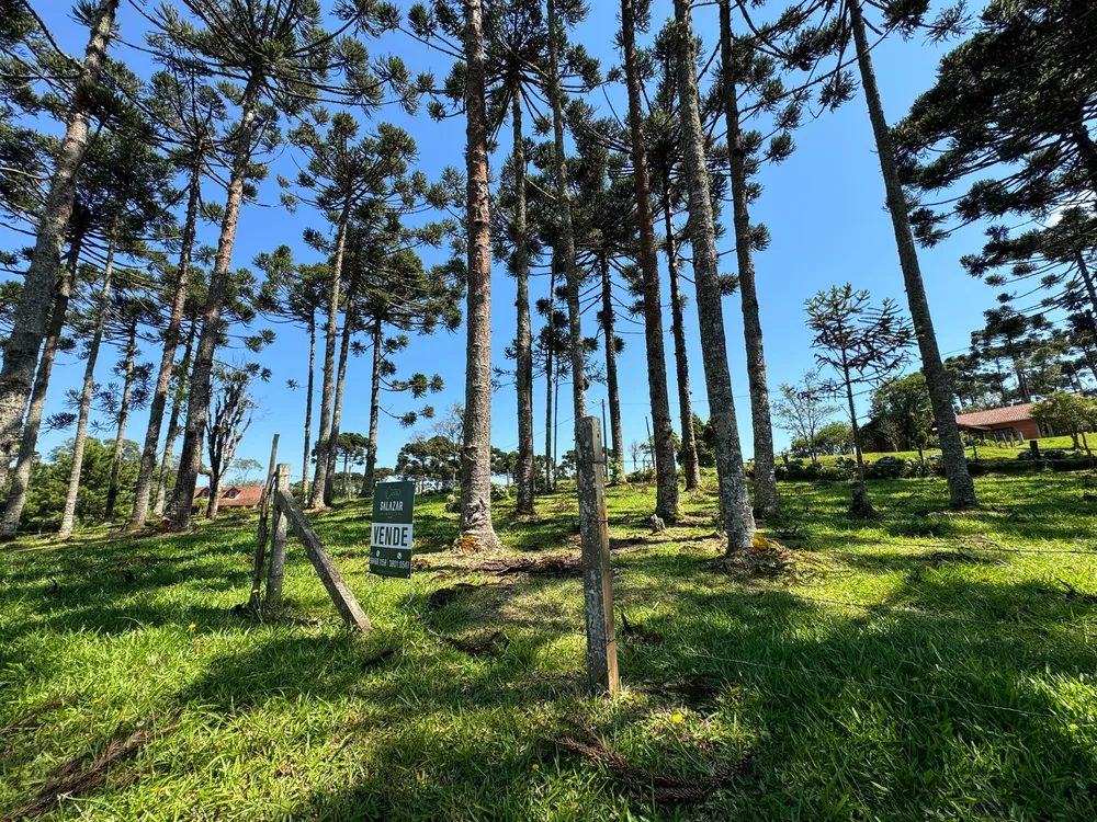 Terreno, 2200 m² - Foto 12