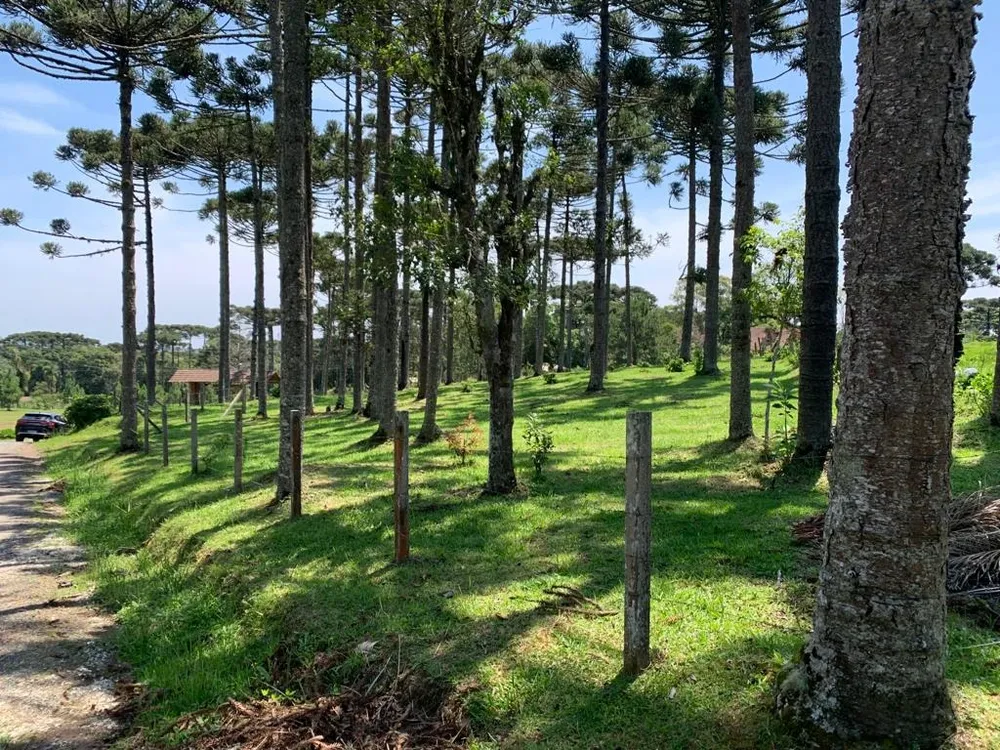 Terreno, 2200 m² - Foto 3