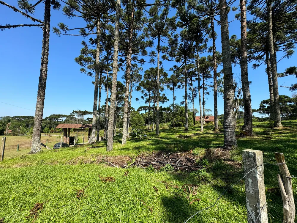 Terreno, 2200 m² - Foto 5