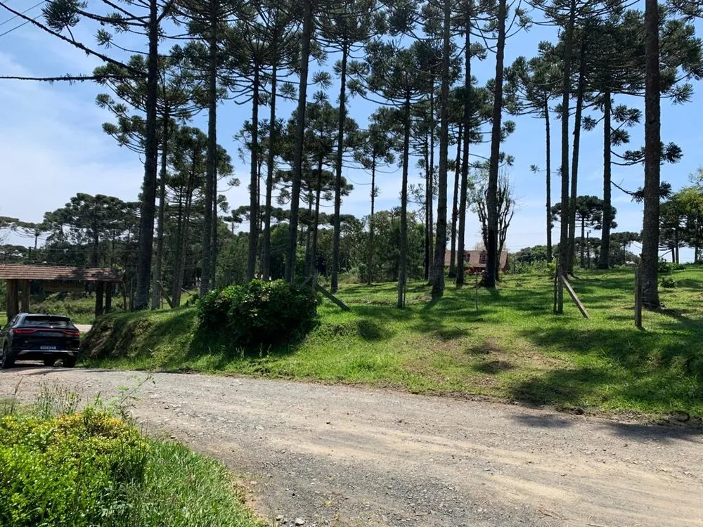 Terreno, 2200 m² - Foto 2