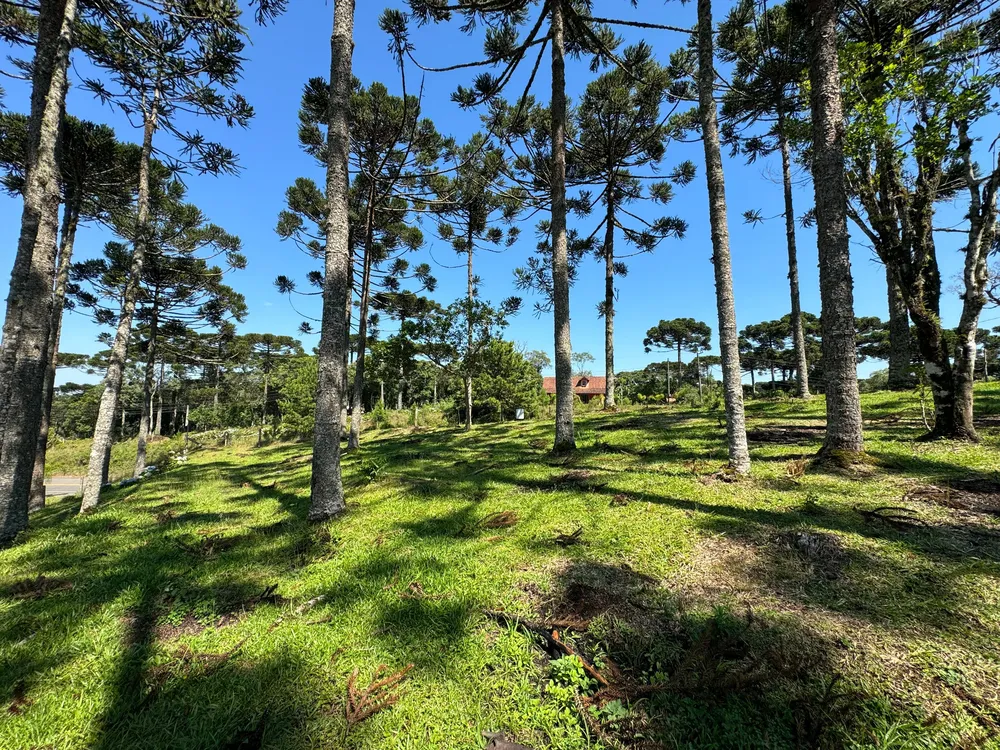 Terreno, 2200 m² - Foto 11