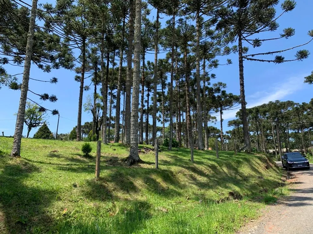 Terreno, 2200 m² - Foto 4