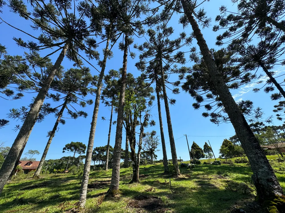 Terreno, 2200 m² - Foto 7