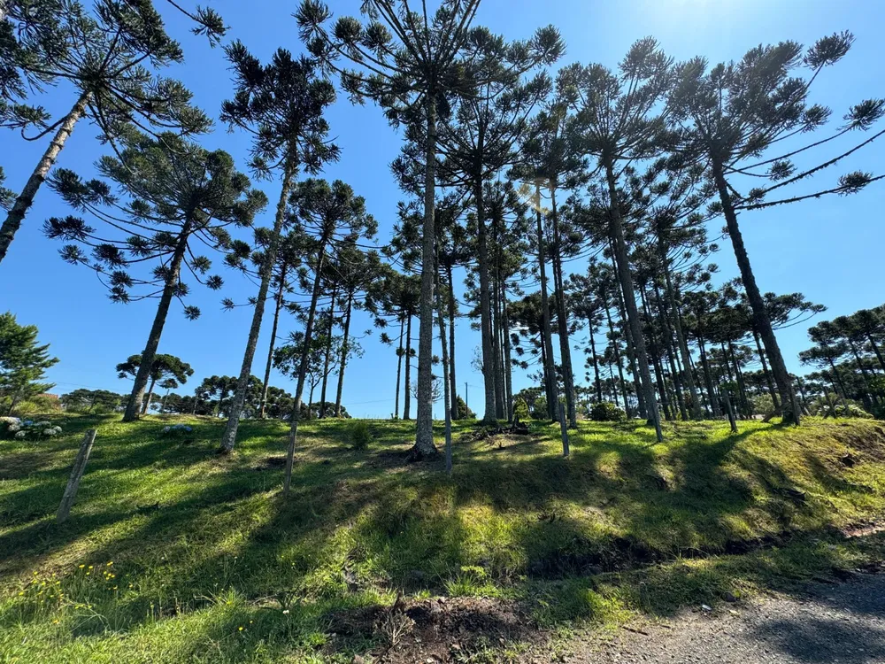 Terreno, 2200 m² - Foto 1