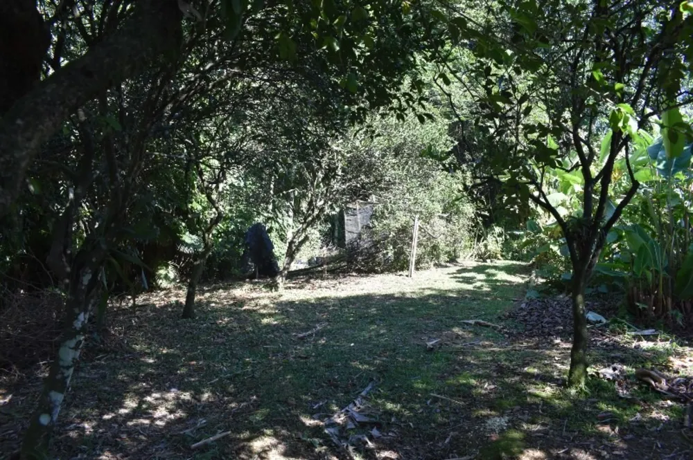 Casa, 3 quartos - Foto 9