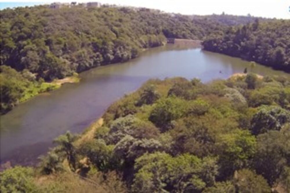 Terreno, 490 m² - Foto 7