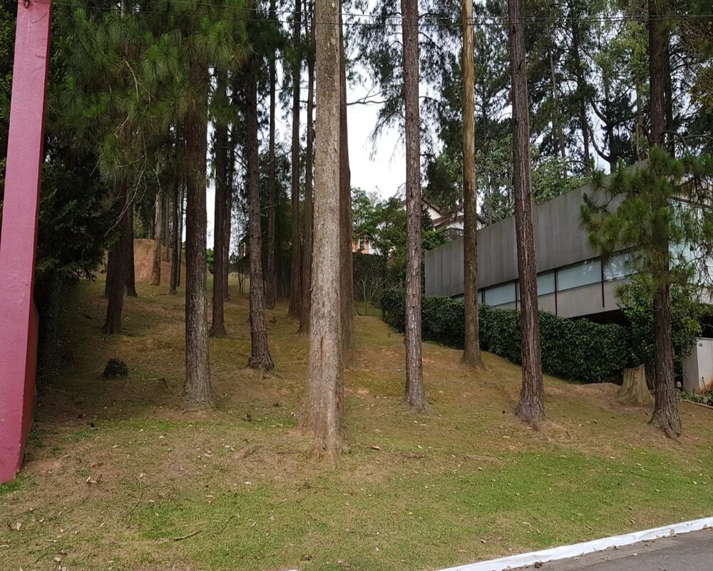 Terreno, 800 m² - Foto 2