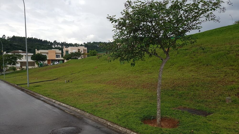 Terreno, 490 m² - Foto 4
